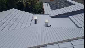 Roof painters in my area