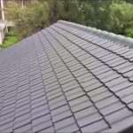 Roof painting services